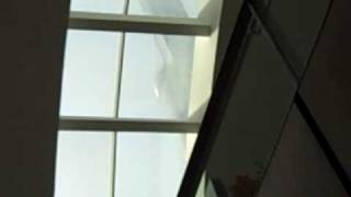 VID00066.AVI