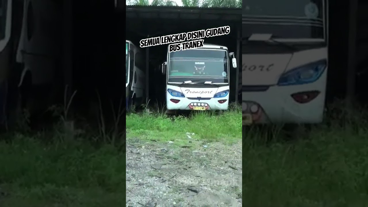 Semua ada disini, bus transport express mulai dari micro, medium dan big bus #mercedesbenz #bus