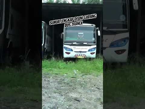 Semua ada disini, bus transport express mulai dari micro, medium dan big bus #mercedesbenz #bus