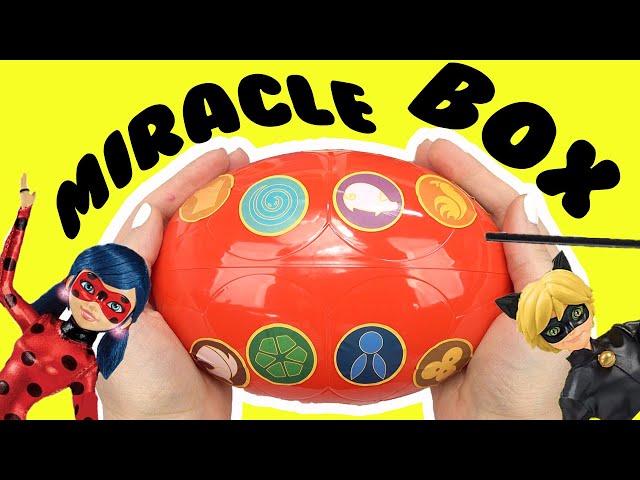 Inside the miracle box  Miraculous ladybug toys, Miraculous ladybug party,  Miraculous ladybug funny