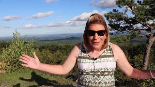 Dana's Story; P2 - Being Trans in Today's World