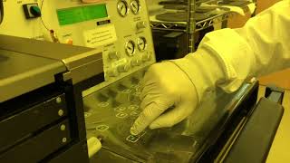 Micro-fabrication of PDMS Monolayer Devices- Photolithography- Boston University - Oliveira Lab 2021