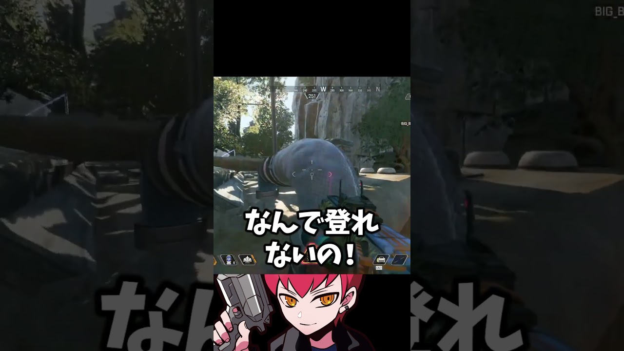 久しぶりにApexしたらキャラコンが初心者になってた【Apex/エーペックス】