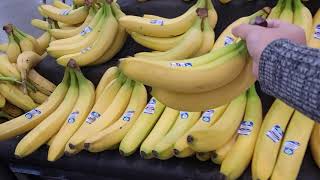 WALMART SHOPPING FLORIDA USA
