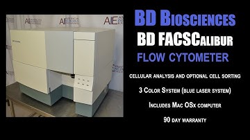 BD FACSCalibur Flow Cytometer (1237H CELL)
