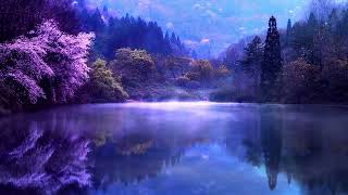 Healing and Relaxing Music 26 Reduce Stress Peaceful Dream Deep Meditation Dreamy atmosphere