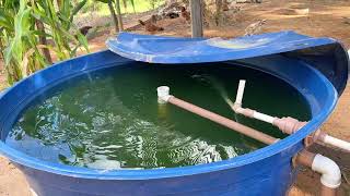 Voltamos com o sisteminha das tilápias na caixa caixa d'água/ Colocamos também peixes na represa