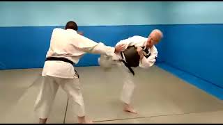 Kyu 2.20 Uchi Uke Zuki (OMOTE)