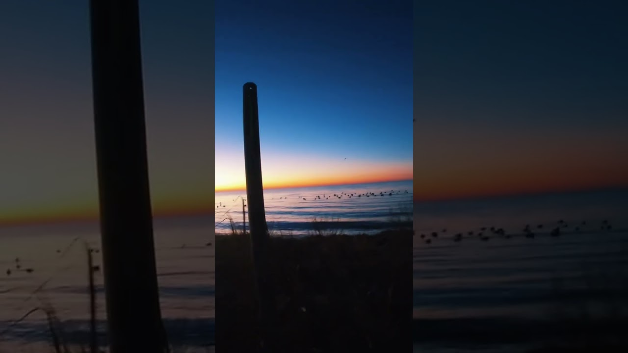 Drops right out the sky 