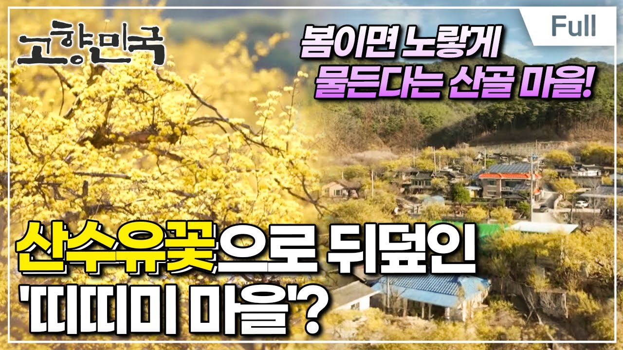 [Full] 고향민국 - 봉화, 산골마을에 봄이 오네