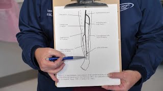 Ask the Pros:  Wound Ostomy Care Clinic #2