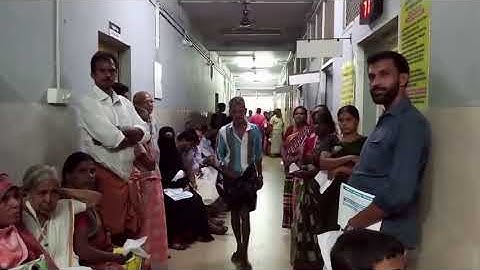 The Deadly Nipah Virus in India: Symptoms, Precautions & Treatment