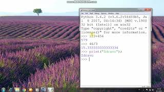 Instalacija i način rada -  Python