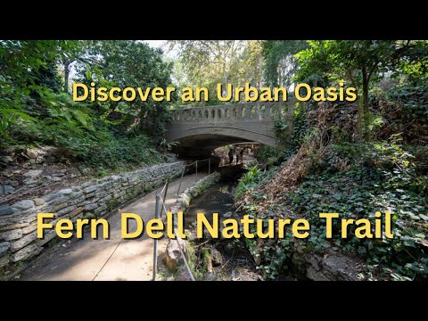 Discover an Urban