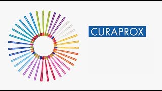 Welcome to the colorful world of CURAPROX screenshot 3