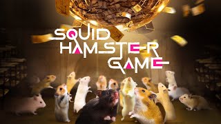 SQUID HAMSTER  GAME 1