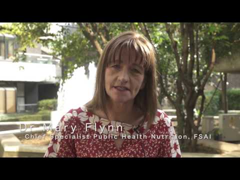 MenuCal Dr Mary Flynn FSAI