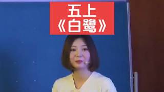 特级教师！第二课时《白鹭》公开课【 ppt课件.教案】（五年级语文上册）新课标任务群示范课（名师优质课教学视频）试讲#白鹭#公开课#公开课#课件#五年级语文