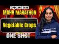 OPSC AHO 2026 | Vegetable Crops | One Shot Maha Marathon | Complete Revision | OPSC AHO Classes