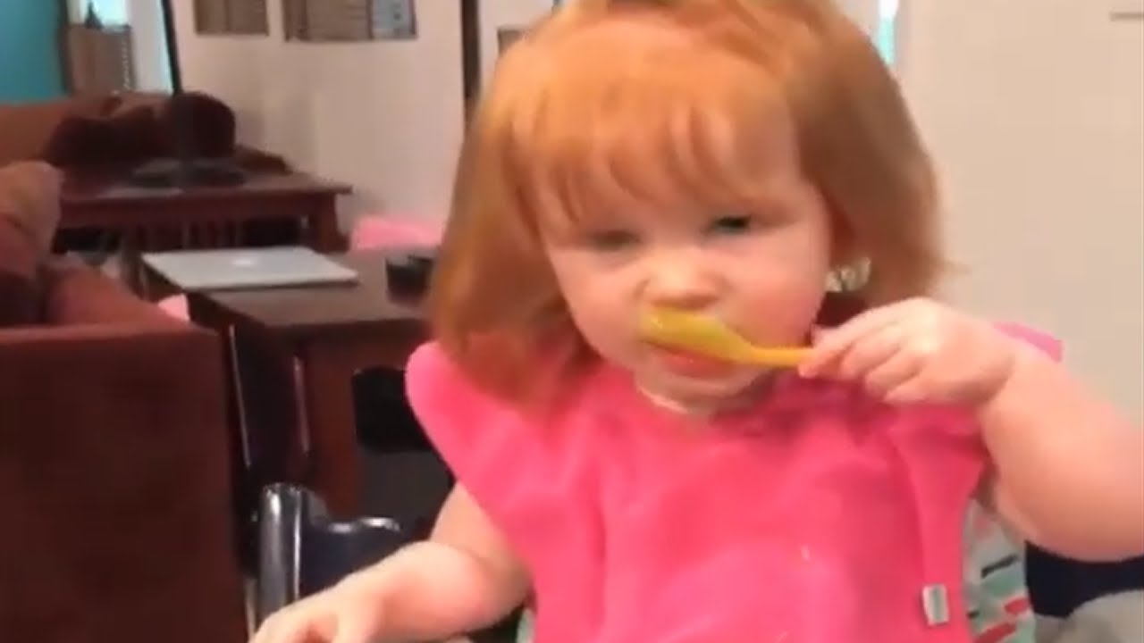 videos for cats Malamute is happy to play vacuum cleaner for toddler