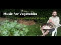 Music for vegetables