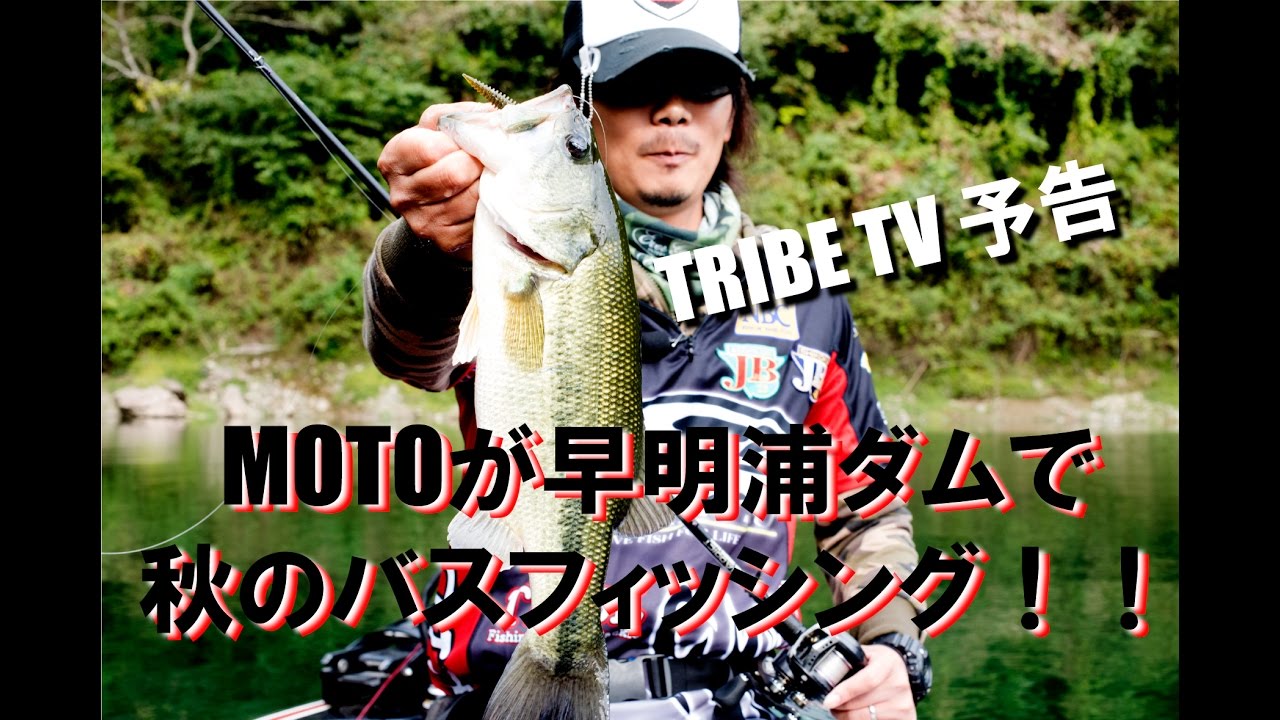 大人気 デラシリーズ第五弾のスイムベイト Fishing Gear Tackle Tribe 大人気 デラシリーズ第五弾のスイムベイト Fishing Gear Tackle Tribe