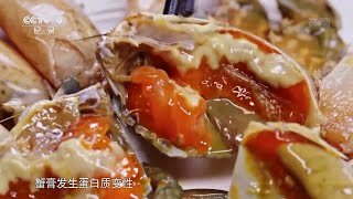 香辣生腌青蟹 一盘红膏呛蟹 潮汕“打冷之王” 一吃就无法停下来实在过瘾《螃蟹的征途》第三集【CCTV纪录】