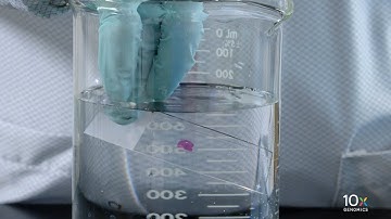 Visium CytAssist Deparaffinization H&E Staining Demonstrated Protocol | Coverslip Removal