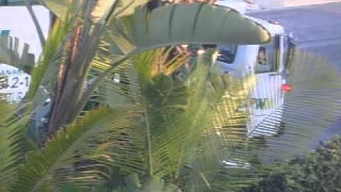 Waste Management Volvo Amrep Octo ASL 101571