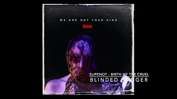 Slipknot - Birth of the cruel (cover)