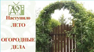 ЧЕРЕШНЯ, ПИОНЫ, РОЗЫ, ТОМАТЫ и ОГУРЦЫ / ЭКСКУРСИЯ по НАШИМ ПОСАДКАМ