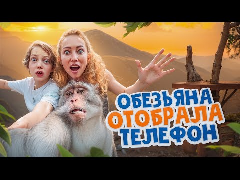 Попали в лес ДИКИХ ОБЕЗЬЯН на БАЛИ! Живём в отеле, который находится прямо в ЗООПАРКЕ