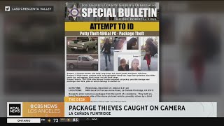 Authorities looking for La Canada Flintridge package thieves