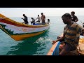 Back to Back Trevally Fish Caught in the Sea