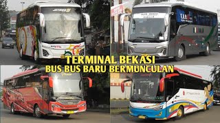 TERMINAL BEKASI 2025 | BERMUNCULAN BUS BUS BARU YANG MEWAH