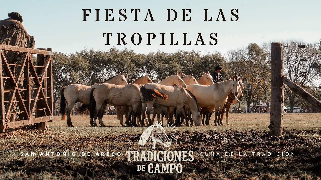 Фестиваль стад | Сан-Антонио-де-Ареко 2025