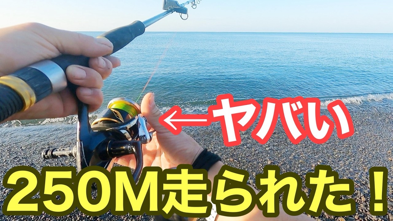 【250M走る怪物が！】超高速で出されました！この緊張感がたまらない【ショアジギング/飲ませ釣り】