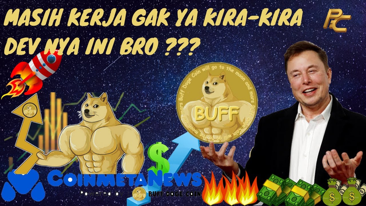 MASIH KERJA GAK YA DEVELOPER NYA BUFF DOGE COIN INI BRO ??? - YouTube