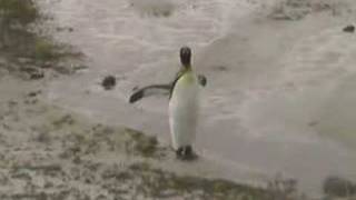 Falkland Islands