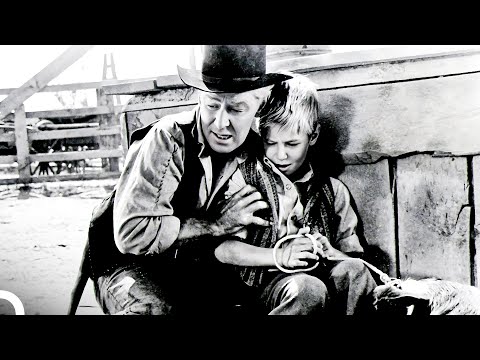 Vadiler Aslanı | Alan Ladd Türkçe Dublaj Kovboy Filmi