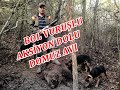 Adrenalin Dolu Domuz AVI Bol vuruşlu / Wild Boar hunting