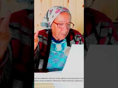 Видео: ЖЕЛТЫЕ ПЯТНА НА ЛИСТЬЯХ МАЛИНЫ