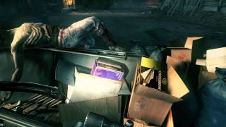 ZombiU - Gameplay-Footage (Buckingham)