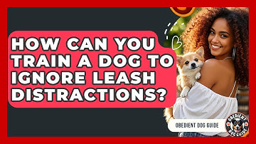 How Can You Train A Dog To Ignore Leash Distractions? - Obedient Dog Guide