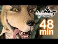 Sprookjeswonderland –All Episodes | 48 Minutes Compilation