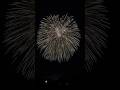 JAPAN 36" inch Display Shells Nagaoka Fireworks Festival 2025 #長岡花火 #三尺玉