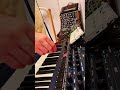 #moog #synth #analogsynth #electronicmusic #op1field #sequential #rolandjuno