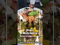 Experience The Grandeur Of Our Giant Molcajete At Ay Caramba It S A Feast For Your Senses With Experience The Grandeur Of Our Giant Molcajete At Ay Caramba It S A Feast For Your Senses With
