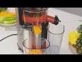 Slow Juicer Edelstahl – Schonendes Entsaften mit hoher Saftausbeute & BPA-frei LBSS3937