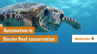 Automation in Barrier Reef conservation
